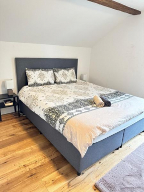 Stilvolle 2,5 Zimmer Wohnung